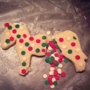 I'm not even kidding you; Christmas was so broken last year that even my Christmas cookies came out in pieces. 